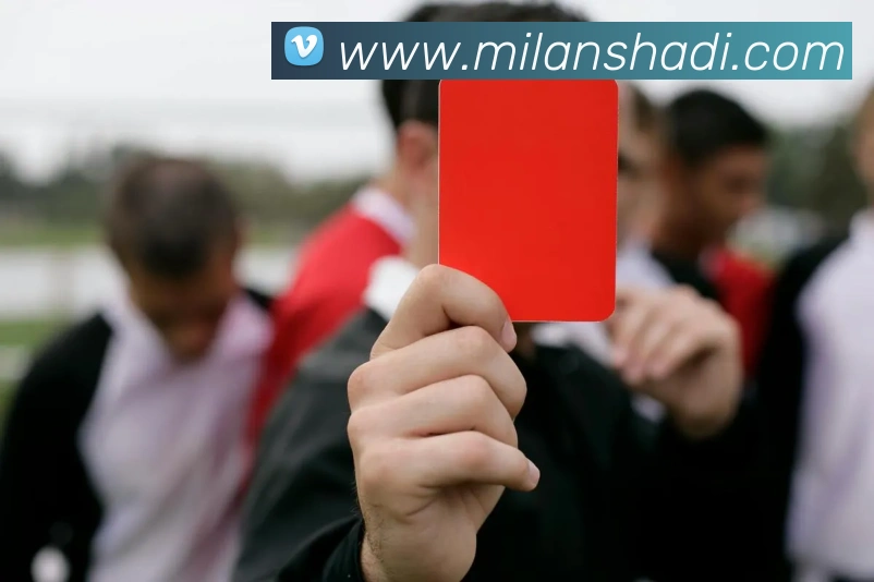 米兰milan官网平台生态图